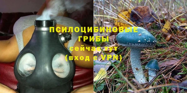 дживик Балабаново